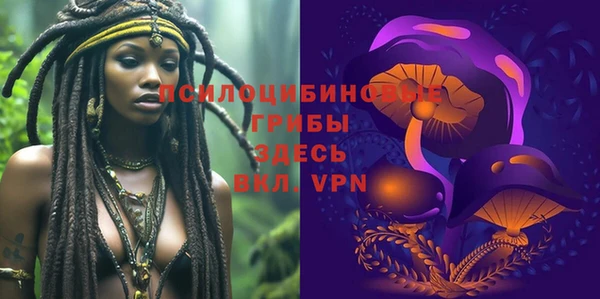 mdpv Арсеньев