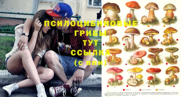 МДПВ Аркадак