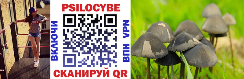Псилоцибиновые грибы мухоморы  Арск 